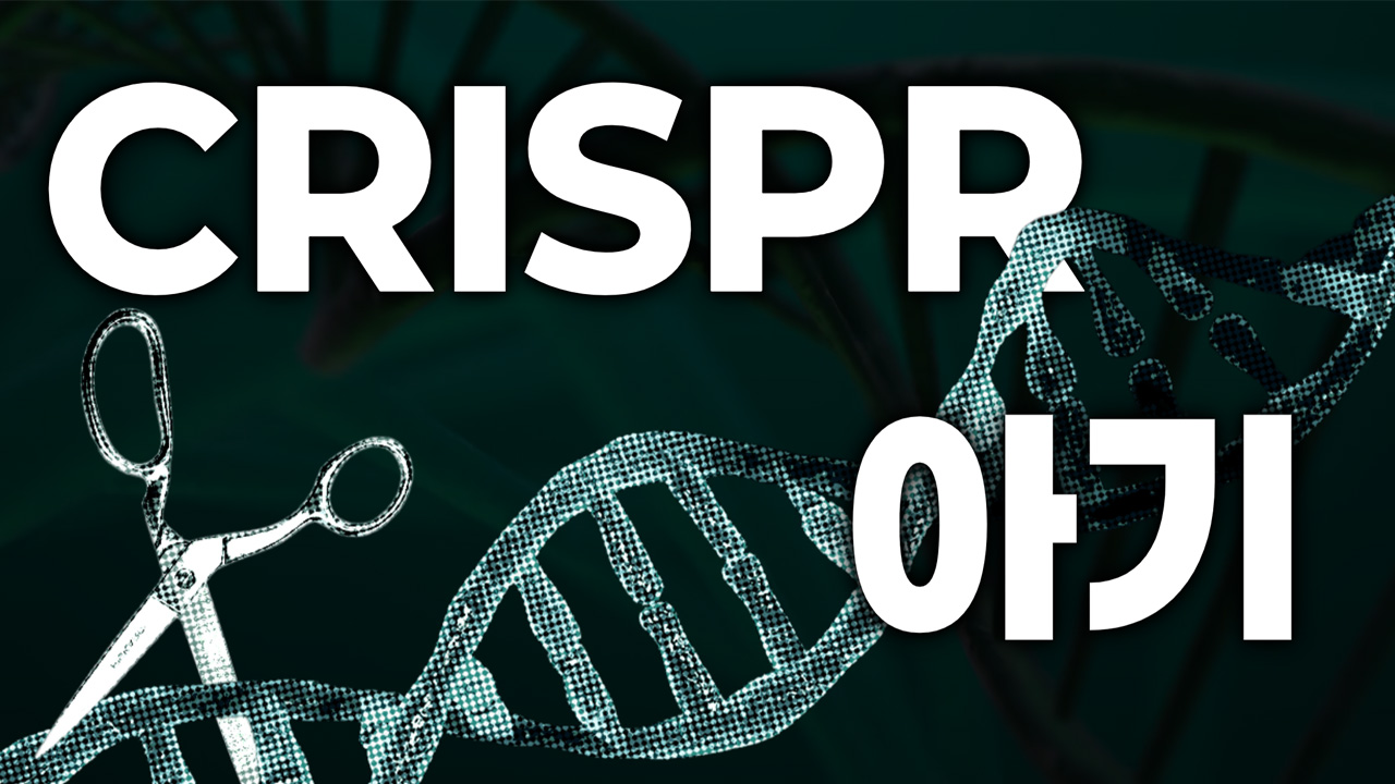 CRISPR 아기